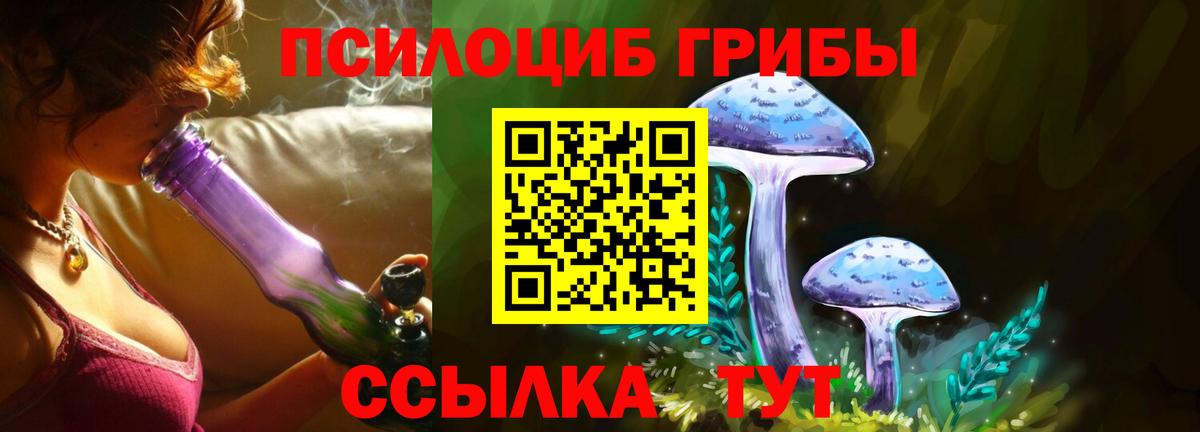 Псилоцибиновые грибы Magic Shrooms  даркнет сайт  Вход с VPN  Ливны  Псилоцибиновые грибы мухоморы 